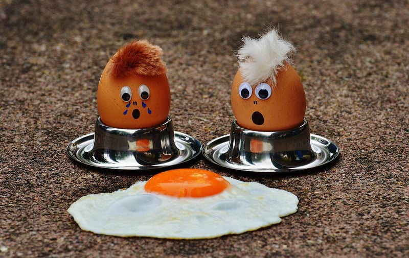 eggs